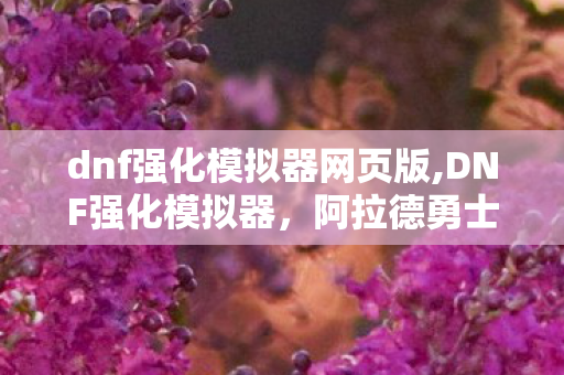 dnf强化模拟器网页版,DNF强化模拟器,阿拉德勇士的垫刀快乐自留地 dnf强化模拟器网页版,DNF强化模拟器,阿拉德勇士的垫刀快乐自留地