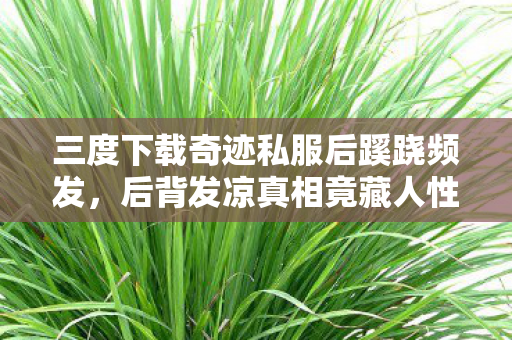 三度下载奇迹私服后蹊跷频发,后背发凉真相竟藏人性深渊 三度下载奇迹私服后蹊跷频发,后背发凉真相竟藏人性深渊