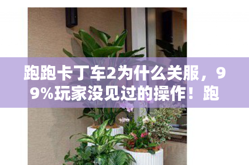 跑跑卡丁车2为什么关服,99%玩家没见过的操作!跑跑卡丁车2竟藏着时空撕裂级体验? 跑跑卡丁车2为什么关服,99%玩家没见过的操作!跑跑卡丁车2竟藏着时空撕裂级体验?