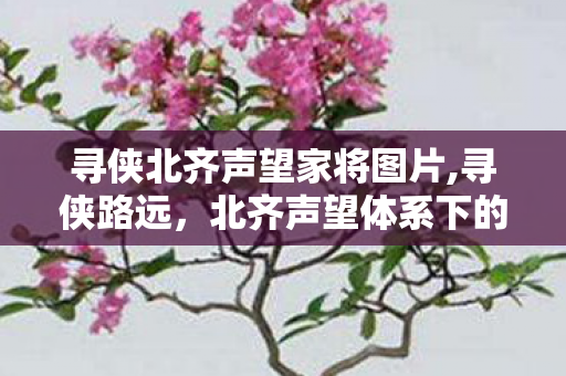 寻侠北齐声望家将图片,寻侠路远,北齐声望体系下的家将江湖意趣 寻侠北齐声望家将图片,寻侠路远,北齐声望体系下的家将江湖意趣