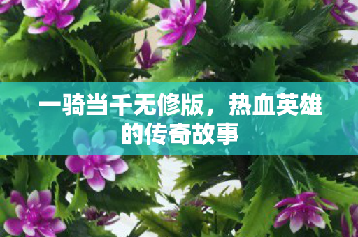 热血英雄的传奇故事图片
