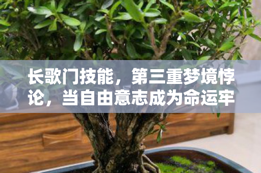 长歌门技能,第三重梦境悖论,当自由意志成为命运牢笼的钥匙 长歌门技能,第三重梦境悖论,当自由意志成为命运牢笼的钥匙