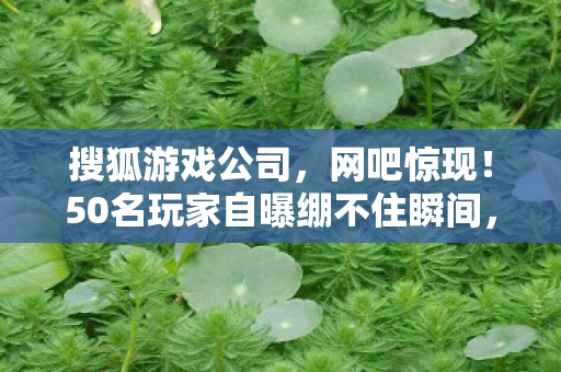 搜狐游戏公司,网吧惊现!50名玩家自曝绷不住瞬间,游戏展疑云背后藏着什么? 搜狐游戏公司,网吧惊现!50名玩家自曝绷不住瞬间,游戏展疑云背后藏着什么?