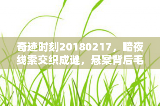 奇迹时刻20180217,暗夜线索交织成谜,悬案背后毛骨悚然,困兽十年之囚 奇迹时刻20180217,暗夜线索交织成谜,悬案背后毛骨悚然,困兽十年之囚