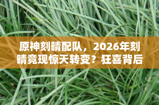 原神刻晴配队,2026年刻晴竟现惊天转变?狂喜背后暗藏何种玄机! 原神刻晴配队,2026年刻晴竟现惊天转变?狂喜背后暗藏何种玄机!