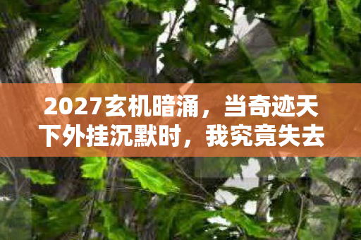 2027玄机暗涌，当奇迹天下外挂沉默时，我究竟失去了什么？