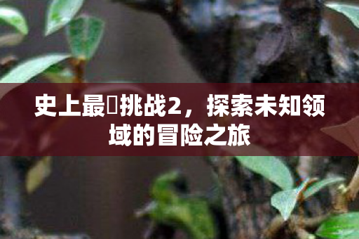 探索未知领域的冒险之旅图片