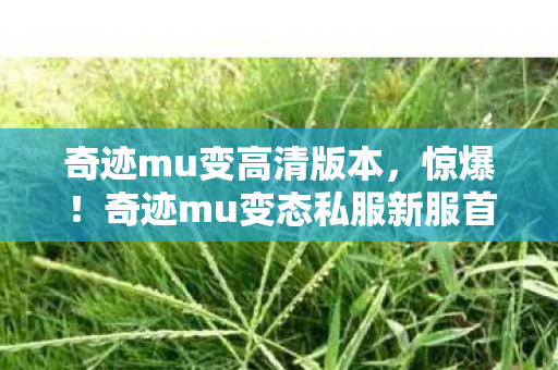 奇迹mu变高清版本,惊爆!奇迹mu变态私服新服首曝,99%玩家不知的暴富秘籍? 奇迹mu变高清版本,惊爆!奇迹mu变态私服新服首曝,99%玩家不知的暴富秘籍?