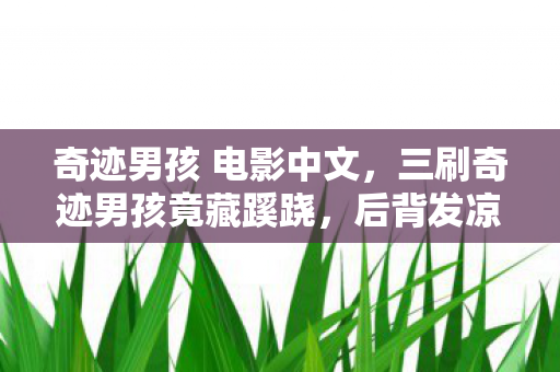 奇迹男孩 电影中文,三刷奇迹男孩竟藏蹊跷,后背发凉,我竟被游戏玩了这么多年? 奇迹男孩 电影中文,三刷奇迹男孩竟藏蹊跷,后背发凉,我竟被游戏玩了这么多年?