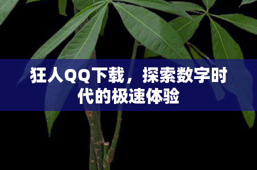 探索数字时代的极速体验图片