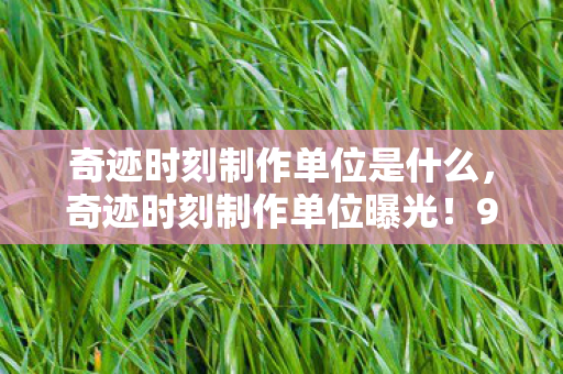 奇迹时刻制作单位是什么，奇迹时刻制作单位曝光！99%人不知的3大隐藏机制，颠覆你的认知！