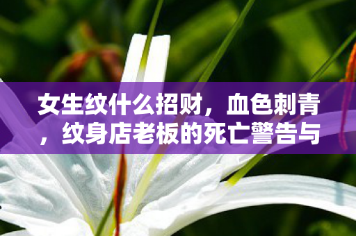 女生纹什么招财,血色刺青,纹身店老板的死亡警告与消失的17岁玩家 女生纹什么招财,血色刺青,纹身店老板的死亡警告与消失的17岁玩家