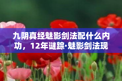 九阴真经魅影剑法配什么内功,12年谜踪·魅影剑法现世录,江湖泪目终章 九阴真经魅影剑法配什么内功,12年谜踪·魅影剑法现世录,江湖泪目终章