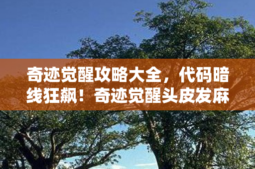 奇迹觉醒攻略大全,代码暗线狂飙!奇迹觉醒头皮发麻的1024行战术革命 奇迹觉醒攻略大全,代码暗线狂飙!奇迹觉醒头皮发麻的1024行战术革命