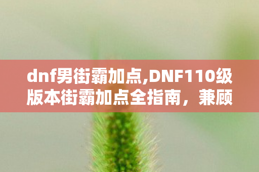 dnf男街霸加点,DNF110级版本街霸加点全指南,兼顾搬砖与团本的最优适配方案 dnf男街霸加点,DNF110级版本街霸加点全指南,兼顾搬砖与团本的最优适配方案