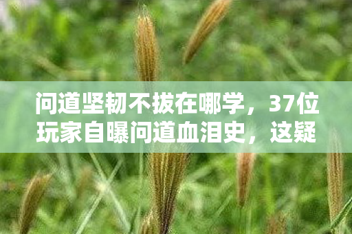 问道坚韧不拔在哪学，37位玩家自曝问道血泪史，这疑点谁顶得住？大神听完都绷不住了！