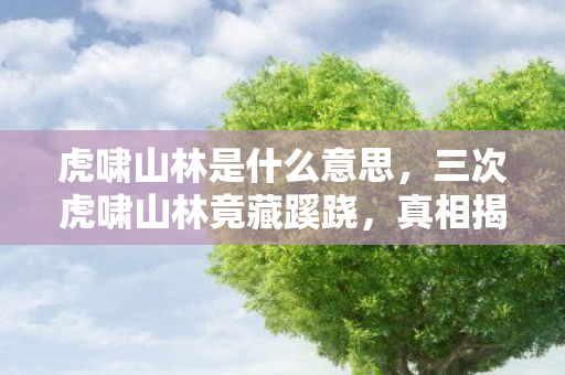 虎啸山林是什么意思,三次虎啸山林竟藏蹊跷,真相揭晓时后背发凉! 虎啸山林是什么意思,三次虎啸山林竟藏蹊跷,真相揭晓时后背发凉!