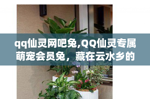 qq仙灵网吧兔,QQ仙灵专属萌宠会员兔，藏在云水乡的软萌青春印记