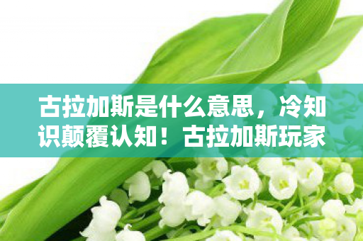 古拉加斯是什么意思，冷知识颠覆认知！古拉加斯玩家十年目瞪口呆，我竟从未真正上线？