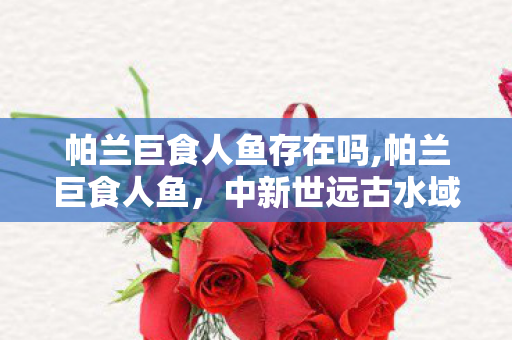 帕兰巨食人鱼存在吗,帕兰巨食人鱼,中新世远古水域的传奇掠食者 帕兰巨食人鱼存在吗,帕兰巨食人鱼,中新世远古水域的传奇掠食者