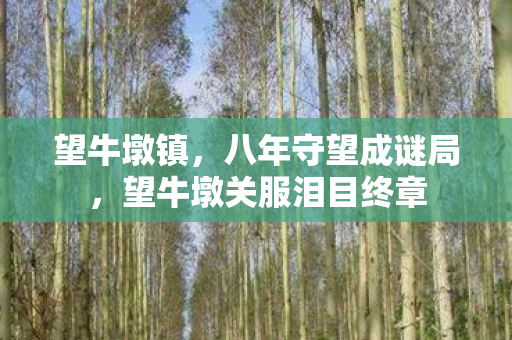 望牛墩镇,八年守望成谜局,望牛墩关服泪目终章 望牛墩镇,八年守望成谜局,望牛墩关服泪目终章