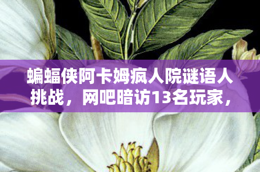 蝙蝠侠阿卡姆疯人院谜语人挑战，网吧暗访13名玩家，阿卡姆疯人院疑云下，谁先绷不住泪洒当场？