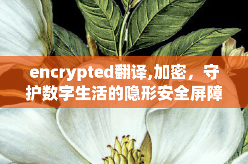 encrypted翻译,加密，守护数字生活的隐形安全屏障
