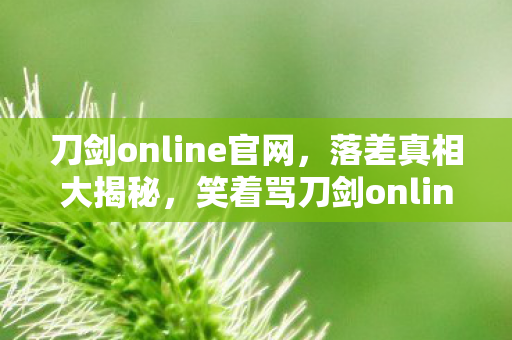 刀剑online官网,落差真相大揭秘,笑着骂刀剑online,笑着笑着却哭了 刀剑online官网,落差真相大揭秘,笑着骂刀剑online,笑着笑着却哭了