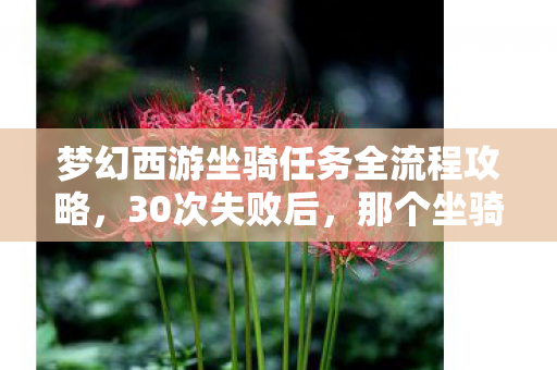 梦幻西游坐骑任务全流程攻略，30次失败后，那个坐骑任务让我从玩家变弃游者？