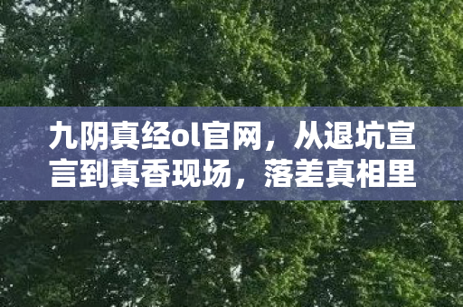 九阴真经ol官网，从退坑宣言到真香现场，落差真相里笑着笑着，我哭了