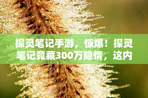 探灵笔记手游，惊爆！探灵笔记竟藏300万隐情，这内幕真让人吓一跳！