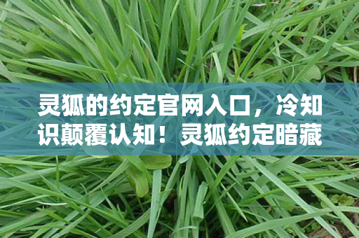 灵狐的约定官网入口,冷知识颠覆认知!灵狐约定暗藏的炸弹级设计,让你目瞪口呆! 灵狐的约定官网入口,冷知识颠覆认知!灵狐约定暗藏的炸弹级设计,让你目瞪口呆!