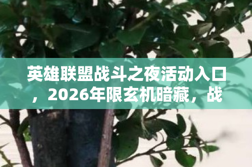 英雄联盟战斗之夜活动入口，2026年限玄机暗藏，战斗之夜为何让我陷入沉默深渊？