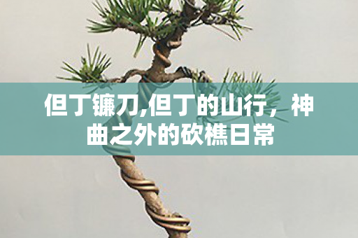 但丁镰刀,但丁的山行，神曲之外的砍樵日常