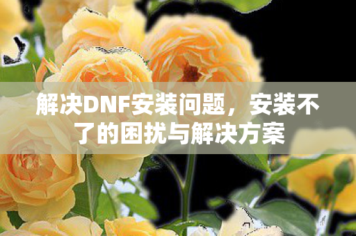 安装不了的困扰与解决方案图片