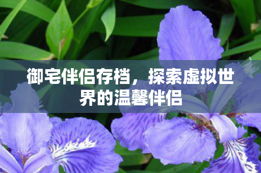 探索虚拟世界的温馨伴侣图片