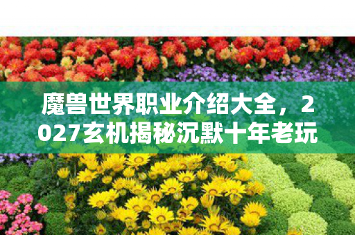 魔兽世界职业介绍大全，2027玄机揭秘沉默十年老玩家，魔兽职业竟藏人生终极密码？