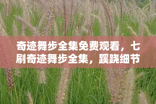 奇迹舞步全集免费观看，七刷奇迹舞步全集，蹊跷细节让我后背发凉，原来我才是NPC