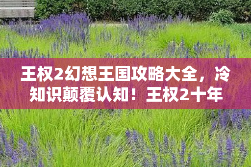 王权2幻想王国攻略大全，冷知识颠覆认知！王权2十年老玩家竟被这些设定目瞪口呆