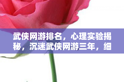 武侠网游排名，心理实验揭秘，沉迷武侠网游三年，细思极恐的自我囚禁