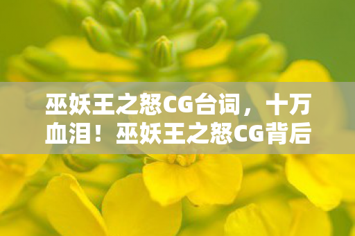 巫妖王之怒CG台词，十万血泪！巫妖王之怒CG背后，我充的钱竟成策划砍方案的刀