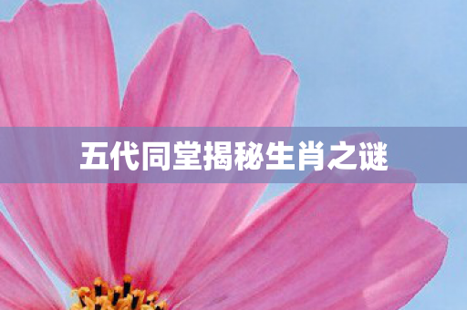 五代同堂揭秘生肖之谜图片