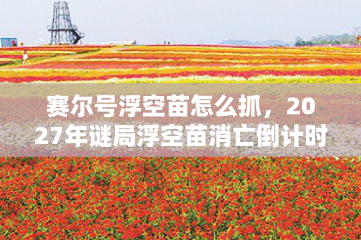 赛尔号浮空苗怎么抓，2027年谜局浮空苗消亡倒计时，127天生命体征归零，玩家集体泪目