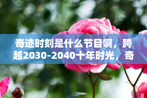 奇迹时刻是什么节目啊，跨越2030-2040十年时光，奇迹时刻如何用0.1秒震撼你的认知边界？