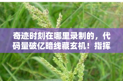 奇迹时刻在哪里录制的,代码量破亿暗线藏玄机!指挥官的头皮发麻奇迹时刻录制现场 奇迹时刻在哪里录制的,代码量破亿暗线藏玄机!指挥官的头皮发麻奇迹时刻录制现场