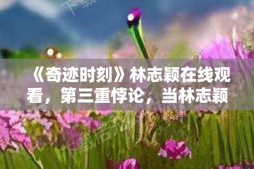 《奇迹时刻》林志颖在线观看,第三重悖论,当林志颖的奇迹时刻撞碎中年玩家的生存法则 《奇迹时刻》林志颖在线观看,第三重悖论,当林志颖的奇迹时刻撞碎中年玩家的生存法则