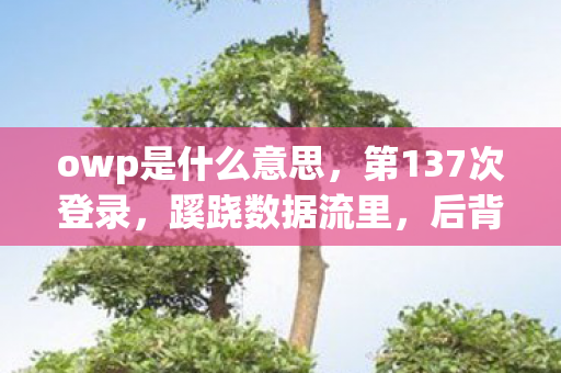owp是什么意思，第137次登录，蹊跷数据流里，后背发凉的十年逃亡真相