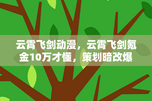 云霄飞剑动漫，云霄飞剑氪金10万才懂，策划暗改爆率？这韭菜当得我吓出冷汗！