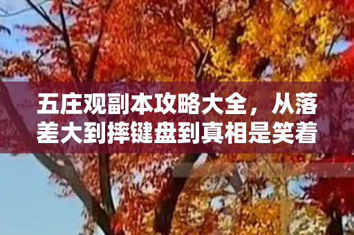 五庄观副本攻略大全,从落差大到摔键盘到真相是笑着哭,这破本谁懂啊! 五庄观副本攻略大全,从落差大到摔键盘到真相是笑着哭,这破本谁懂啊!