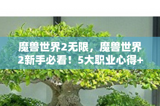 魔兽世界2无限，魔兽世界2新手必看！5大职业心得+避坑指南，少走90%弯路！